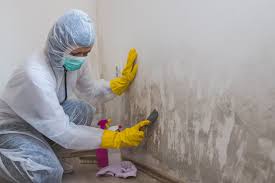 Best Asbestos and Lead Testing During Mold Inspection  in Elida, OH